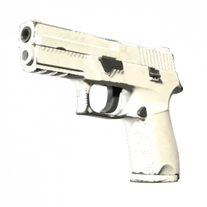 P250 | Whiteout (Field-Tested)