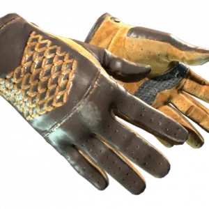 ★ Driver Gloves | Overtake (Field-Tested)