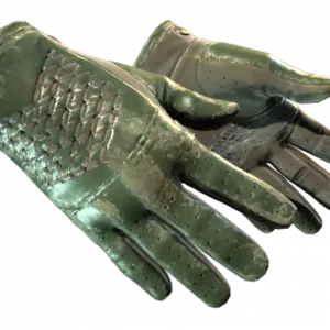★ Driver Gloves | Racing Green (Battle-Scarred)