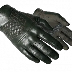★ Driver Gloves | Racing Green (Minimal Wear)