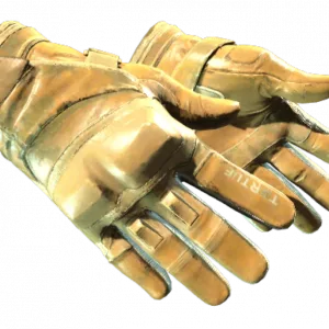 ★ Moto Gloves | Transport (Field-Tested)