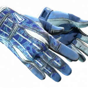 ★ Sport Gloves | Amphibious (Field-Tested)