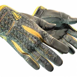 ★ Sport Gloves | Omega (Field-Tested)