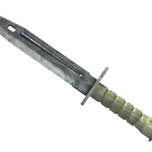 ★ Bayonet | Stained (Well-Worn)