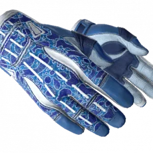 ★ Sport Gloves | Amphibious (Minimal Wear)