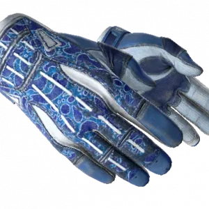 ★ Sport Gloves | Amphibious (Well-Worn)