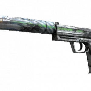 Souvenir USP-S | Road Rash (Minimal Wear)