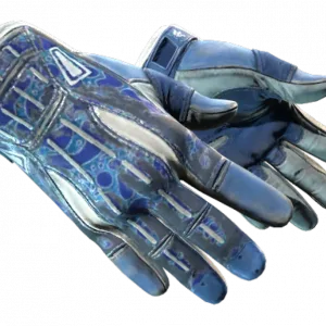 ★ Sport Gloves | Amphibious (Battle-Scarred)