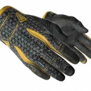 ★ Sport Gloves | Omega (Well-Worn)