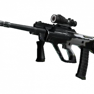 StatTrak™ AUG | Torque (Well-Worn)