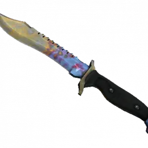 ★ StatTrak™ Bowie Knife | Case Hardened (Well-Worn)