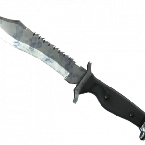 ★ Bowie Knife | Stained (Field-Tested)