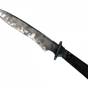 ★ StatTrak™ Classic Knife | Stained (Battle-Scarred)
