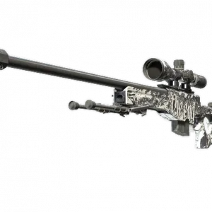 AWP | The End (Field-Tested)