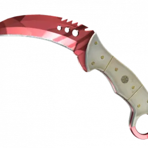 ★ StatTrak™ Talon Knife | Slaughter (Factory New)