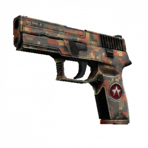 P250 | Red Rock (Well-Worn)
