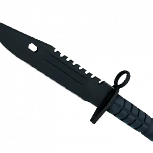 ★ M9 Bayonet | Night (Minimal Wear)