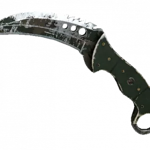 ★ StatTrak™ Talon Knife | Forest DDPAT (Battle-Scarred)