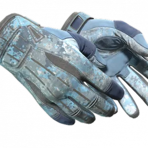 ★ Sport Gloves | Frosty (Field-Tested)