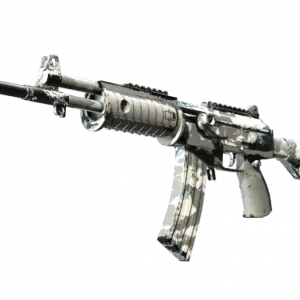 Galil AR | Winter Forest (Field-Tested)