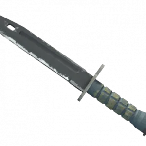 ★ Bayonet | Night (Field-Tested)