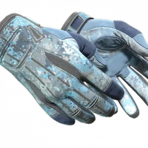 ★ Sport Gloves | Frosty (Minimal Wear)