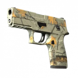 P250 | Modern Hunter (Minimal Wear)