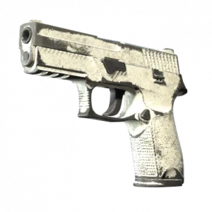 P250 | Whiteout (Battle-Scarred)