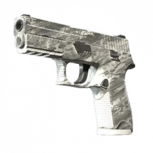 Souvenir P250 | Sleet (Minimal Wear)