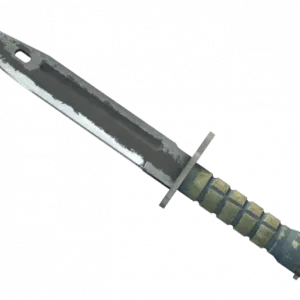 ★ Bayonet | Night (Battle-Scarred)
