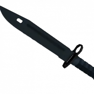★ Bayonet | Night (Minimal Wear)