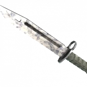 ★ Bayonet | Stained (Factory New)