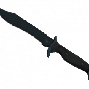 ★ Bowie Knife | Night (Minimal Wear)