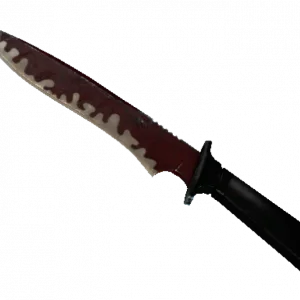 ★ Classic Knife | Crimson Web (Battle-Scarred)