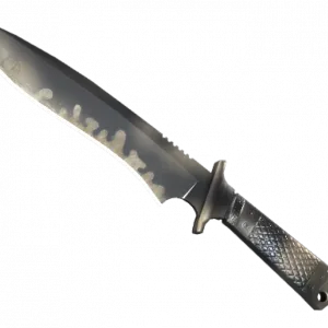 ★ Classic Knife | Scorched (Well-Worn)