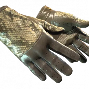 ★ Driver Gloves | Diamondback (Field-Tested)