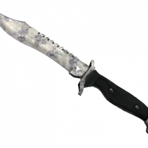 ★ StatTrak™ Bowie Knife | Stained (Well-Worn)