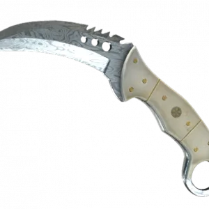 ★ Talon Knife | Damascus Steel (Factory New)