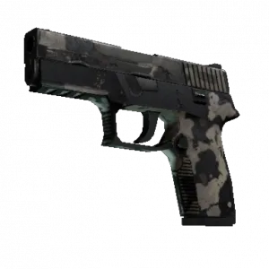 P250 | Black & Tan (Battle-Scarred)