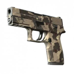 P250 | Black & Tan (Field-Tested)