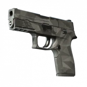 P250 | Facets (Well-Worn)