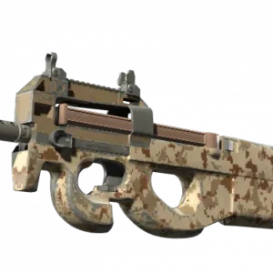 P90 | Desert DDPAT (Well-Worn)