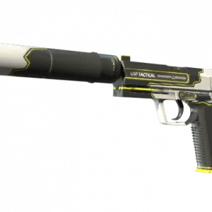 Souvenir USP-S | Torque (Factory New)