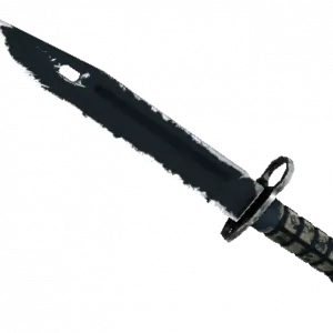★ StatTrak™ Bayonet | Night (Well-Worn)