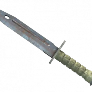 ★ StatTrak™ Bayonet | Rust Coat (Well-Worn)